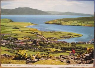 Irish Pc Dingle Town Harbour An Daingean Kerry Ireland John Hinde 2/303 Gorse