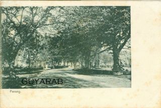 Penang,  Early View,  Postally 1904 - Malaysia