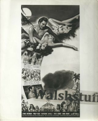 Dorothy Lamour " Aloma Of The South Seas " 1941 Paramount Film 8x10 B&w Photo