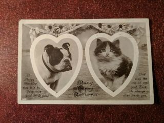 Cat Vintage Postcard.  Rppc Kitten And Bulldog.  Birthday.  British.  Not Mailed.