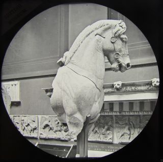 Glass Magic Lantern Slide Stone Horse Head The British Museum Pre 1889 London