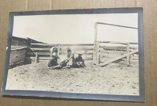 Zb778 Rppc Early 1900 Branding A Steer Real Photo Postcard Cowboys Ranchers