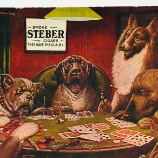 Steber Cigars Advertising Postcard A Waterloo Dogs Playing Poker 1906 Coolidge 3