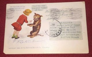 Vintage Buster Brown Postcard Tige 1906 Chicago Resolved Dog R.  F.  Outeault