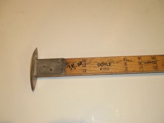 VINTAGE Doyle 15D Conway CLEVELAND LOG Rule LOGGING LUMBER TALLY STICK TOOL 7