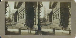Rare 1905 Portland Lewis & Clark Exposition Stereoview By Watson - Forestry Bldg