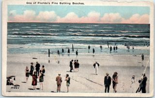 Vintage Florida Postcard " One Of Florida 