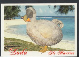 Mauritius Postcard - The Dodo - A Unique Bird Now Extinct T4379