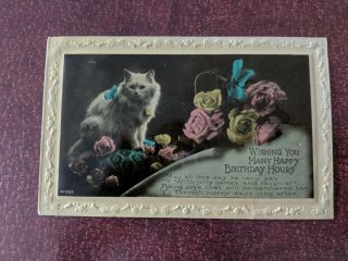 Cat Vintage Postcard.  Birthday.  British.  White Cat.  Yellow/pink Roses.  Embossed.