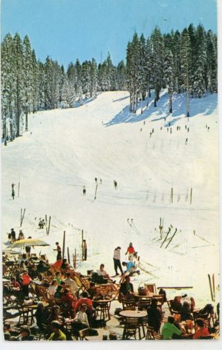 Yosemite Natl Pk California Ca " Badger Pass Slopes From Ski House " Postcard C1960