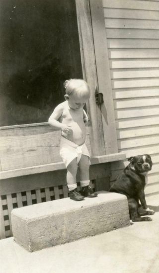Ac334 Vtg Photo Baby In Cloth Diaper,  Pit Bull Puppy Dog,  Nanny Dog C 1926