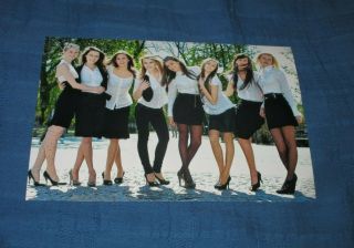 Group Of Eight Models Posing In White Top - Black Skirts - Pantyhose Photo