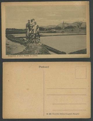 China C1920 Old Postcard Irrigation Of Rice Fields Shanghai Farmer Pagoda Temple