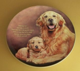 Cherished Golden Retrievers Adoring Eyes Plate Danbury Retriever Dog