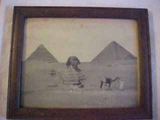 3 Egyptian Middle Eastern Orientalist Photographs Photos In Oak Frames Ca 1920