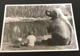 Santoro Graphics Vtg Postcard Rppc Man Baby Fishing Elephant Sitting By River