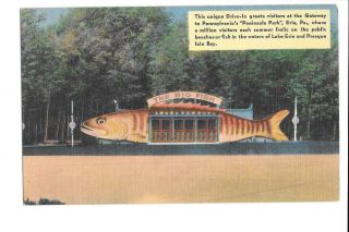 Vtg Linen Postcard 1950 The Big Fish Drive In Advertising Peninsula Park Erie Pa