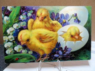 1909 Postcard Easter Greeting Baby Chick Studying A Ladybug On A Flower
