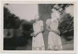 Surreal Ghostly Twin Women Against Tree Vtg Abstract Double Exposure Trick Photo