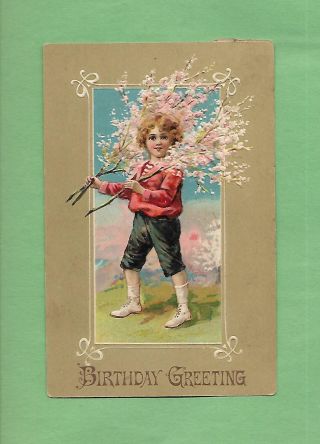 Boy Carries Lovely Blossoms On Vintage 1907 Birthday Postcard