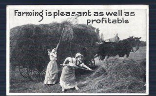 Farming Haying Pretty Girls Wagon Horse 1 C Stamp Vintage Antique Photo Postcard