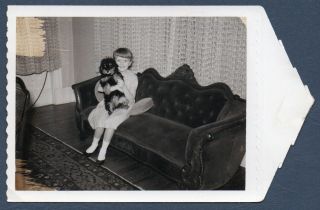 Found Photo Vintage Polaroid Ca.  1959 Cute Little Girl On Antique Sofa W Cute Dog