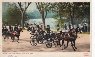 York City,  1905,  The Lake At Central Park With Horse Drawn Carriages,  Detroit P