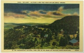 Postcard Virginia Va Skyland Skyline Drive Shenandoah National Park Bird 