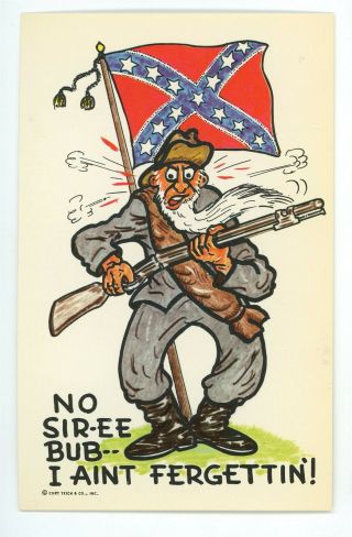 Confederate Banner Civil War Soldier Redneck Southern Rebel Man Gun Postcard