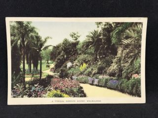 Vintage Photo Postcard Fitzroy Gardens,  Melbourne,  Vic Nucolorvue C1950s