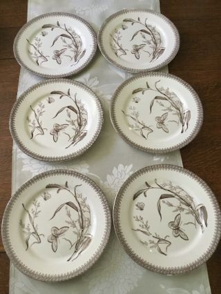 6 Antique T & R Boote England Summertime 8” Salad Plates Butterflies Floral