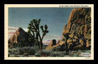 Dr Jim Stamps Us Joshua Tree National Monument Linen Postcard Palm Springs
