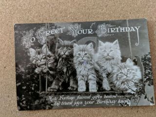 Cat Vintage Postcard.  Birthday.  5 Kittens On Swing.  B/w.  British.  Pm 1920.