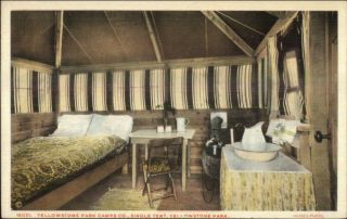 Yellowstone National Park Camps Co Single Tent Haynes 15071 C1920 Postcard