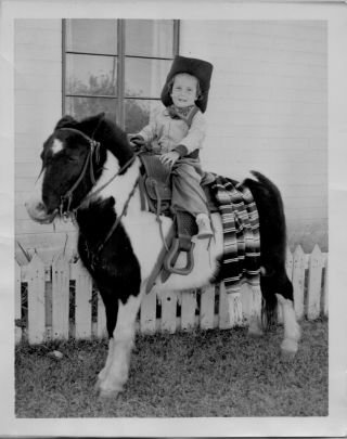 Vintage Photo Little Girl Dressed Like Cowgirl On Top Of A Pony Mini Horse