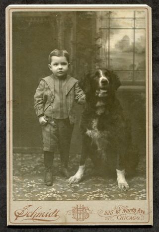 S88 - Chicago Old Cabinet Photo Of Well Dressed Boy With His Dog.  By Schmidt