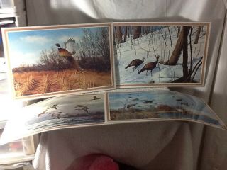 Set Of 4 Vintage David Maass Wild Birds Placemats Very Cool Pre - Owned