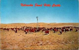 Postcard Vintage Nebraska Ne Sand Hills Cattle Cows Windmill E - 38