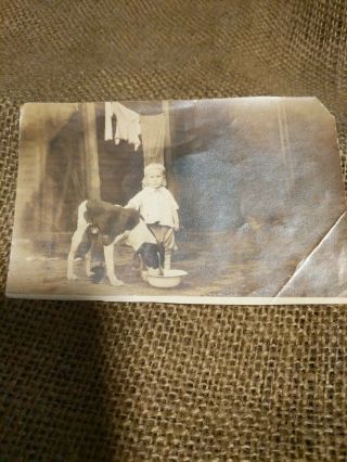 Vintage Photo - Boy With Dog