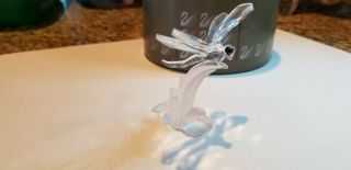 Swarovski Dragonfly Figurine Mib