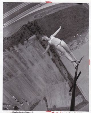 Silver Photograph 1961 Circus Air Daredevil Sexy Beauty Dangling From Plane
