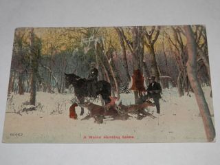 A Maine Hunting Scene - Big Bucks - Bear - Rare Old Postcard - Man On Horseback