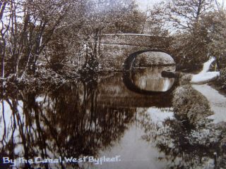 " By The Canal ",  West Byfleet,  Surrey,  U.  K.  George V 1912 Wey Canal Ppc