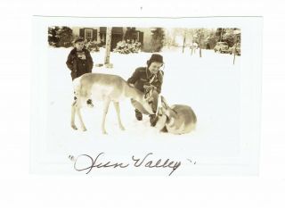Vintage 1940s Maybe 1950s Snapshot Woman And Child With Small Deer " Sun Valley "