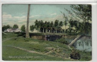 Railway Line And Bridge,  Labuan: Malaya Postcard (c39662)