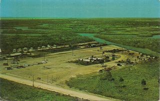 Palm River Mobile Home Park Trailers Naples Florida Fl Vintage 1960s Postcard
