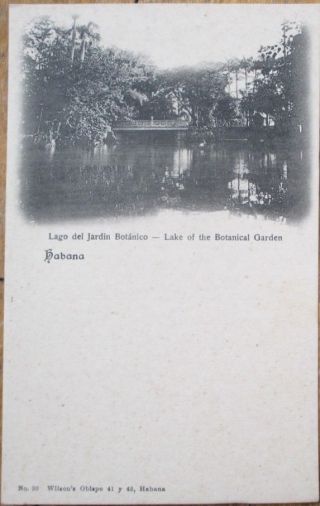 Havana/habana,  Cuba 1905 Postcard: Botanical Garden Lake / Lago Jardin Botanico