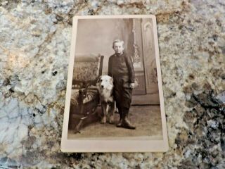 Cabinet Card Photo Darling Boy With His Big Dog Live In Suit With Big Chair