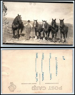 Rppc Postcard - Man Holding 5 Large Horses Unknown Location Y2
