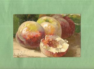 Juicy Ripe Peaches On Colorful A/s Catherine Klein Vintage Postcard